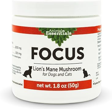 Animal Essentials Focus Lions Mane Mushroom Supplement for Dogs & Cats - Supports Brain Health, Cognitive Function, Healthy Immune Response, Mushroom Powder Extract - 1.8 Oz Pack of 1
