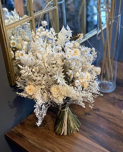 Miniatura 3 de CBT Floral & Craft Ruscus italiano seco (aproximadamente 30 pulgadas de alto) Ruscus italiano blanqueado l Ruscus italiano conservado para la Blanco