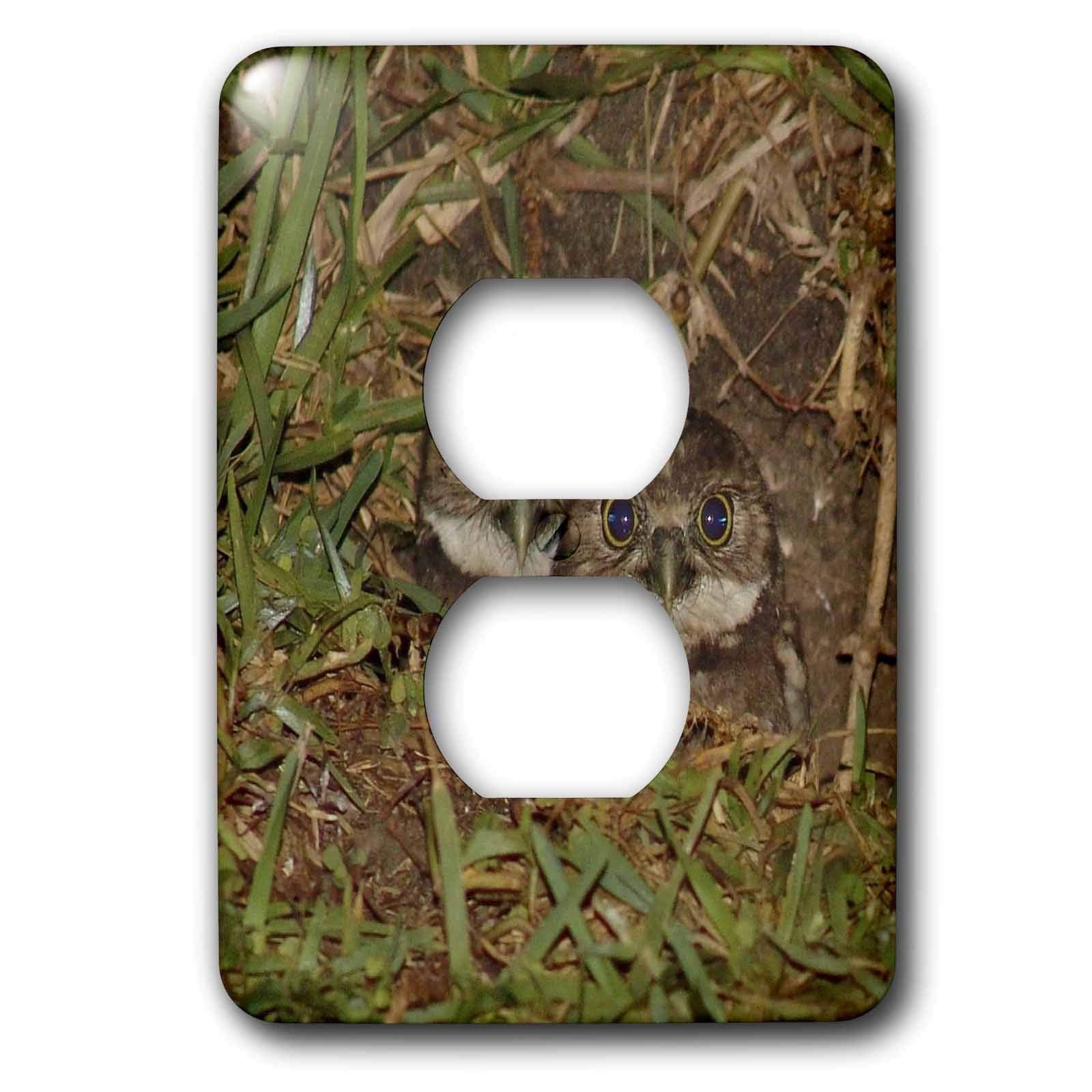 Baby Burrow Owl 2 prises cache-prise décoratif mural motif animalier nature