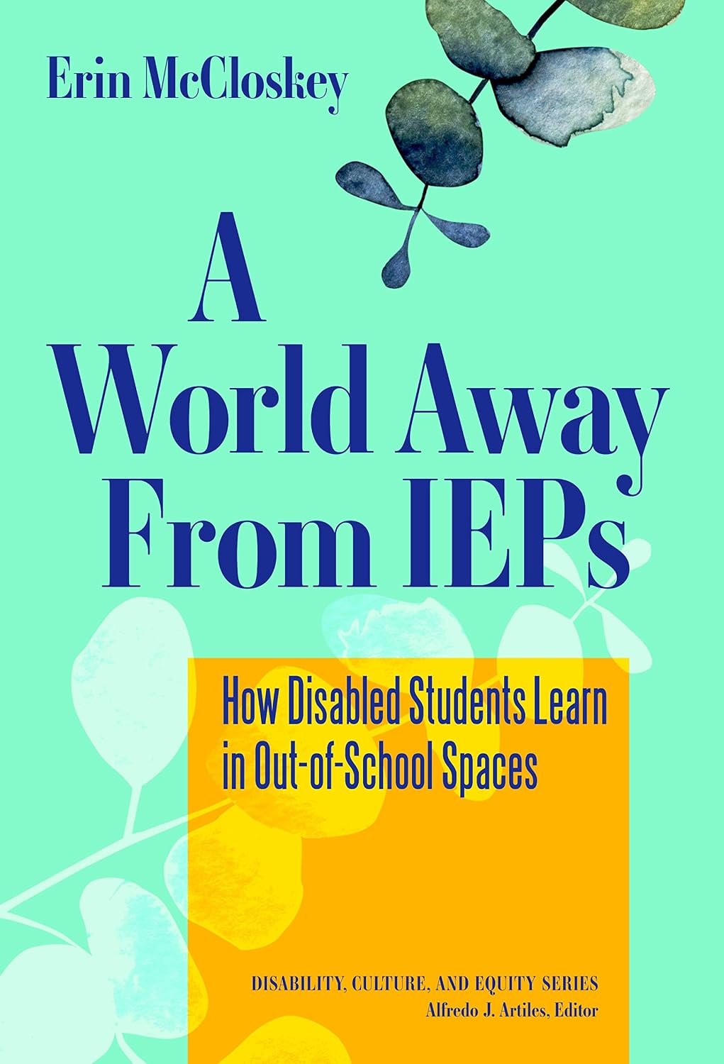 A World Away From IEPs: How Disabled Students Learn in Out-of-School Spaces (Disability, Culture, and Equity Series)      Kindle Edition