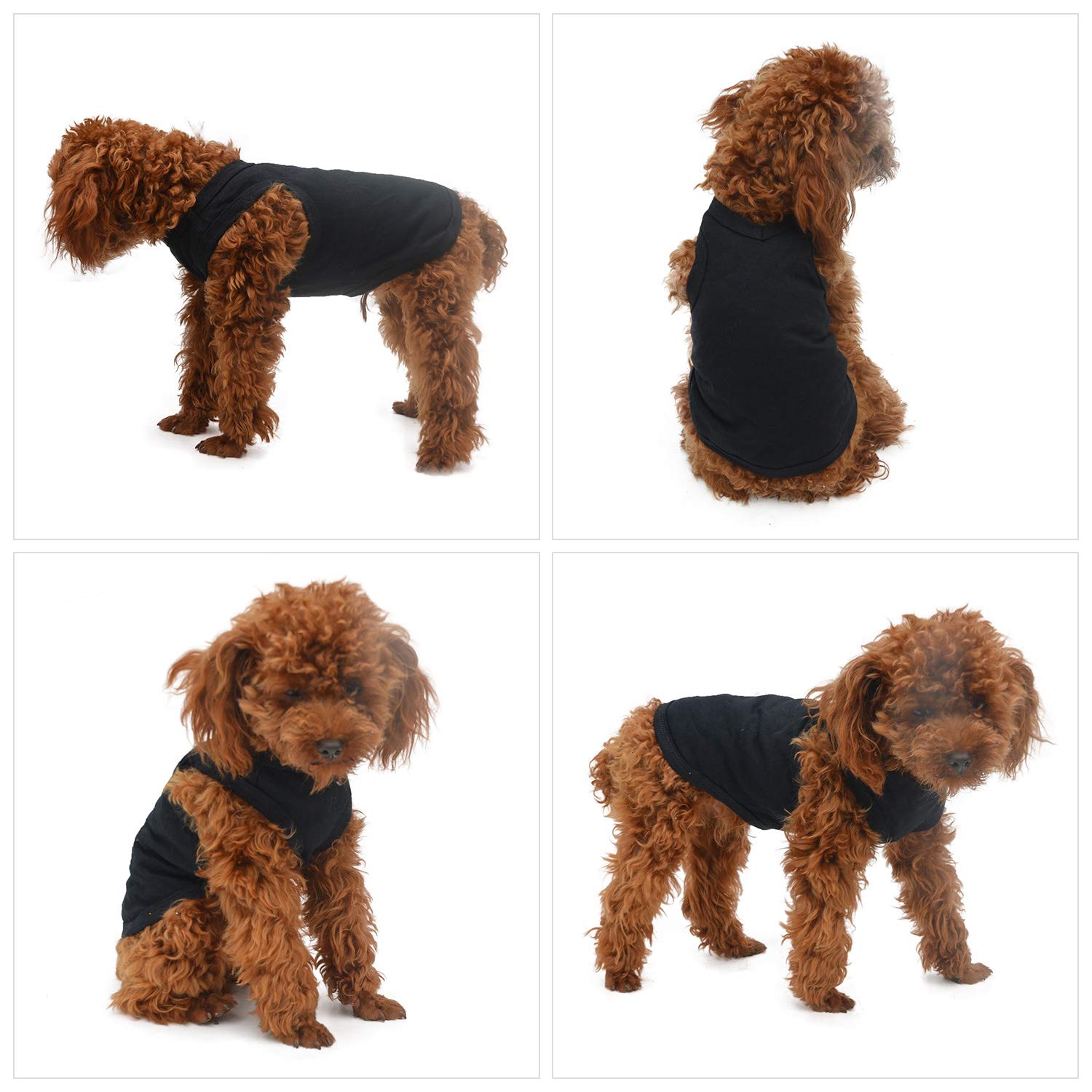 Amazon.com : 2018 Pet Clothes Dog Clothing Blank T-Shirt Tanks Top 