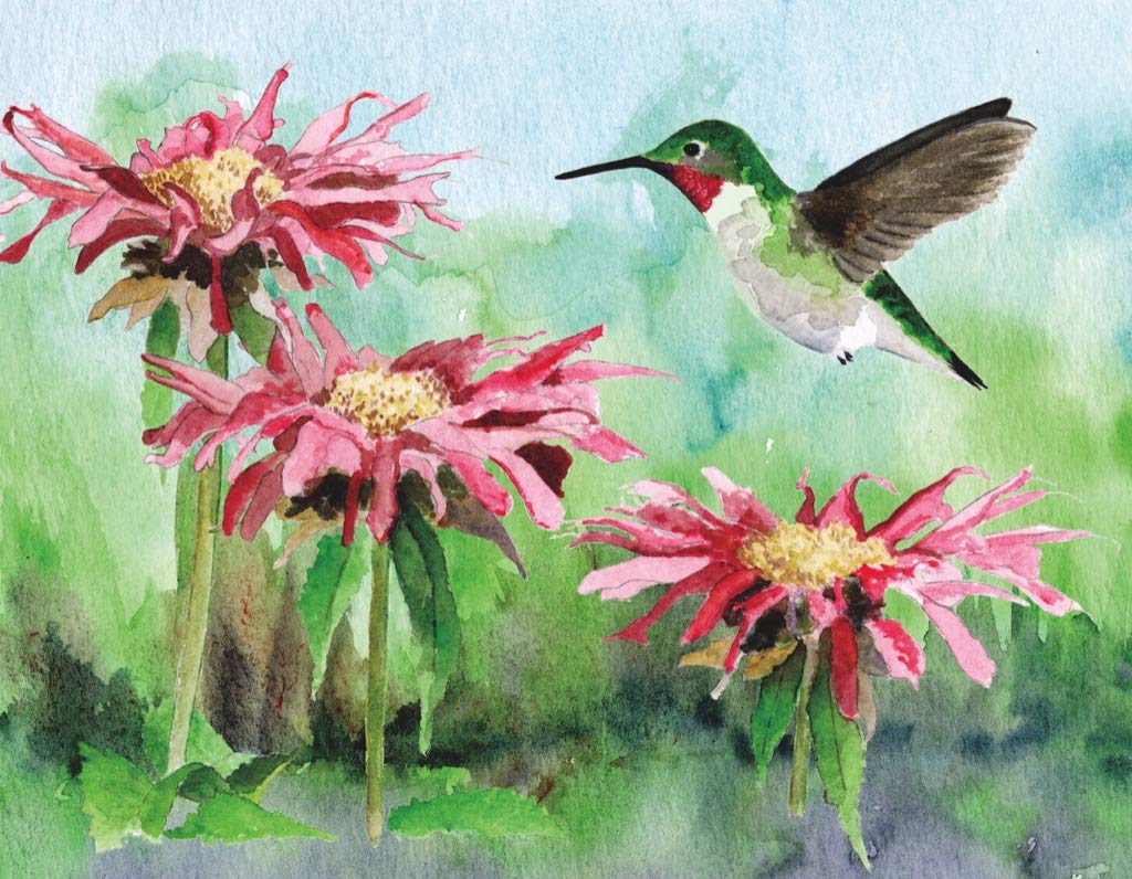 New York Puzzle Company - Cornell Lab Ruby-Throated Hummingbird Mini - 100 Piece Jigsaw Puzzle for Family Game Nights by Megan Gnekow - Image 2