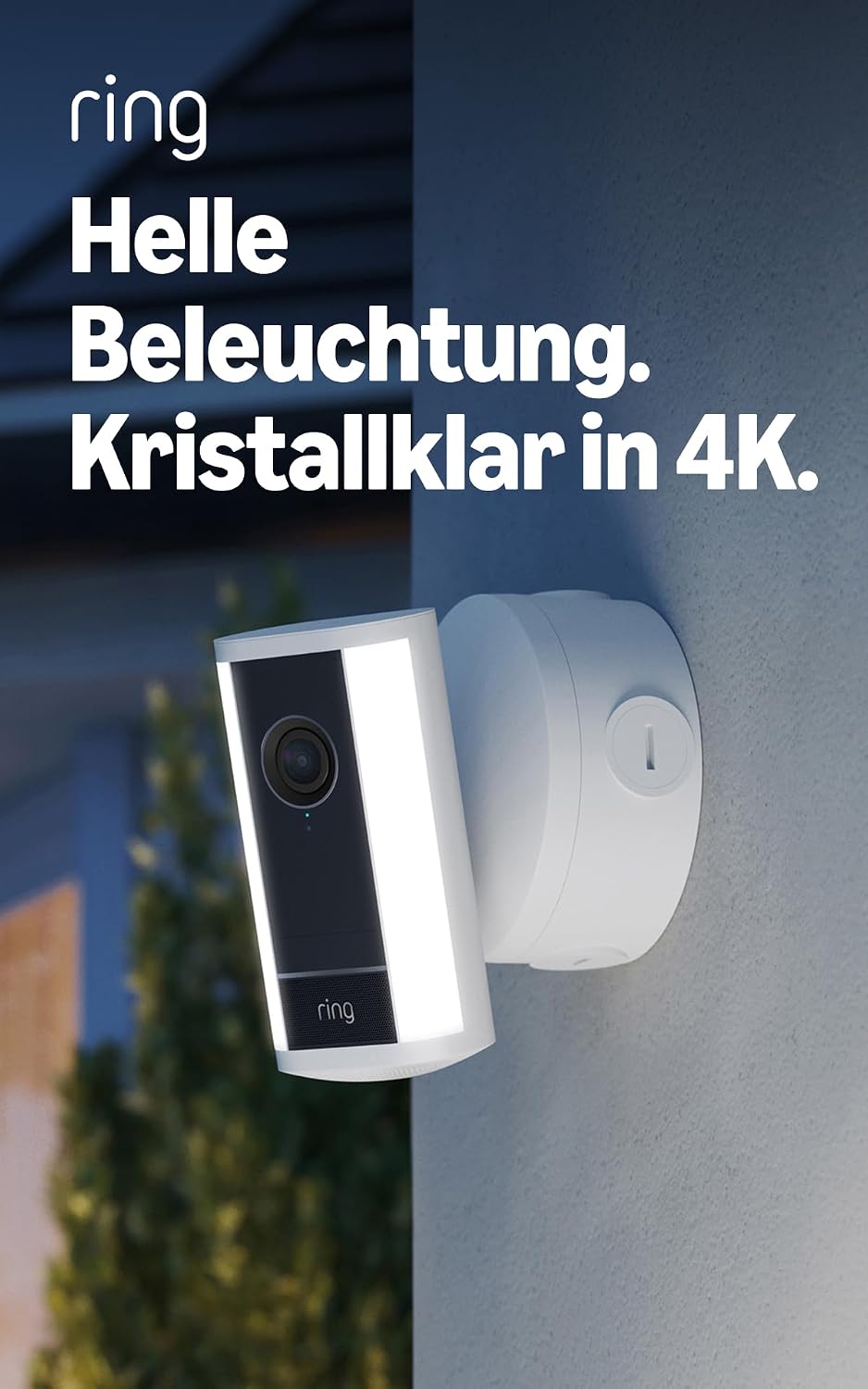 Vue 10