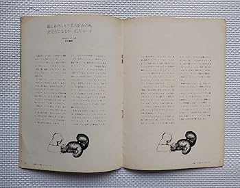 Amazon.co.jp: ボクシング パンフレット 世界フライ級タイトルマッチ