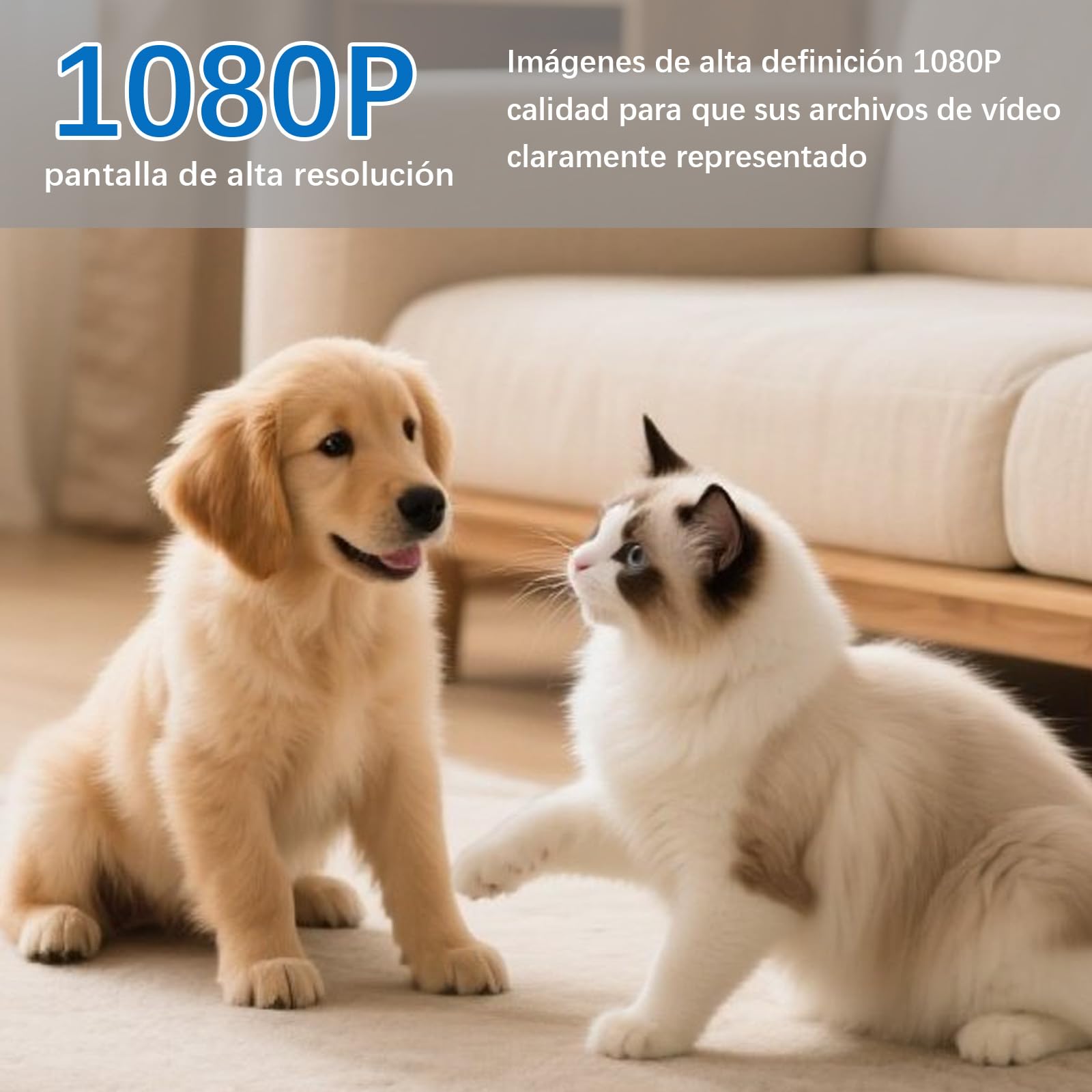Mini Cámara Espía en Cargador USB, Vigilancia Oculta HD 1080P con Detección de Movimiento, Grabación en Bucle para Hogar y Oficina