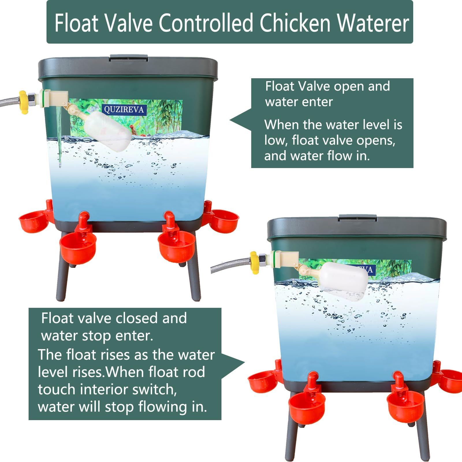 Alimentador automático de agua para aves de corral con flotador, autollenado, 4 galones, dispensador de fuente de agua para pollo, sistema de riego automático de pollo, paloma y pájaro con manguera y
