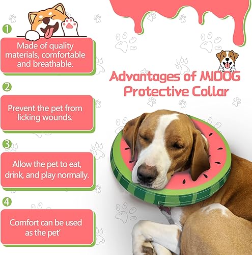 Miniatura 2 de MIDOG Cono inflable suave para perro, alternativa al collar electrónico de dona para después de la cirugía, evita lamer, permite una alimentación y