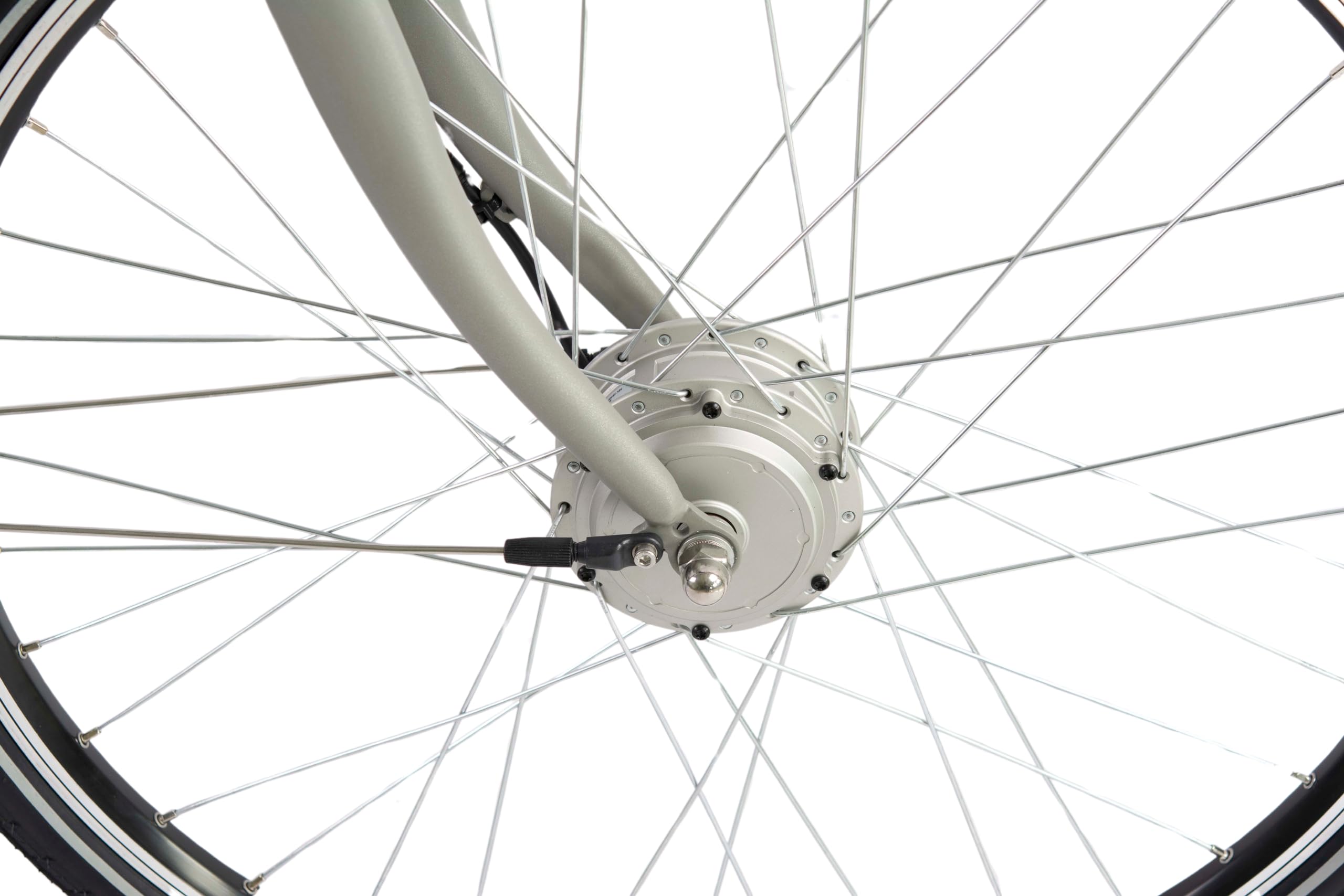 F.lli Schiano E-Moon, Bici Elettrica da Città 28 Inches per Adulti, 36V 13Ah Batteria Rimovibile, Motore 250W 40Nm, City Ebike, Grigio