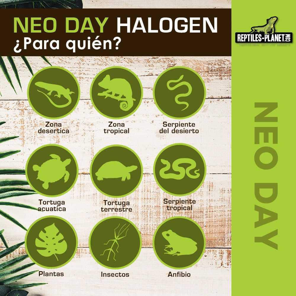 Reptiles Planet Neo Day Halogen - Bombilla térmica para Terrario (35 W, Color Blanco