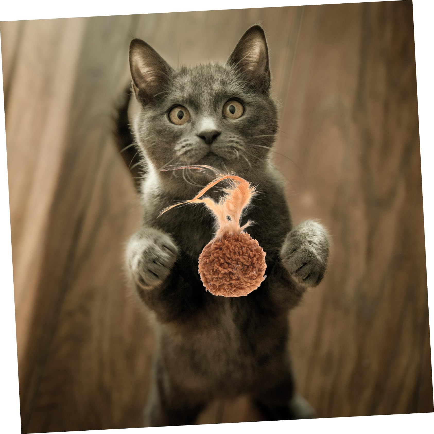 Happyyami 45piezas Juguete Interactivo para Gatos De De y Sonido Juguetes Resistentes para Gatitos y Gatos para Estimulación y Interiores