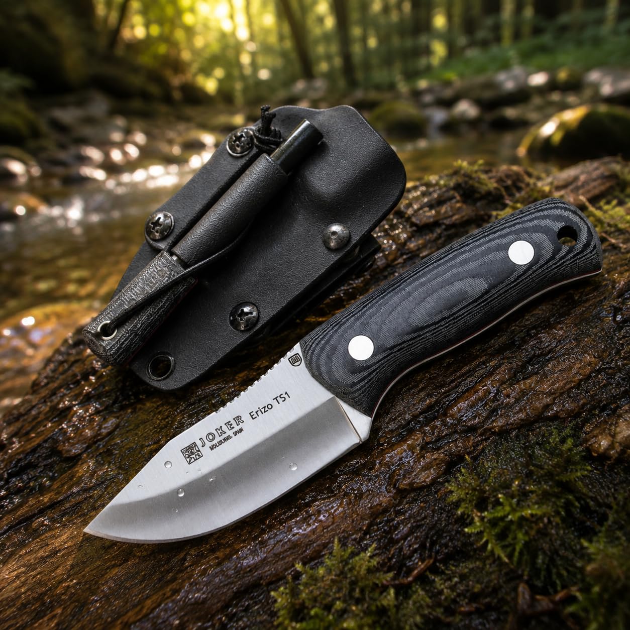 Joker Nóż Sportowy Survival Jeż TS1 CM81-F, Uchwyt Canvas micarta, nóż z ostrzem 7,5 cm, w zestawie pokrowiec Kydex z Paracord 550, narzędzie wędkarskie, polowanie, Camping i piesze wycieczki.
