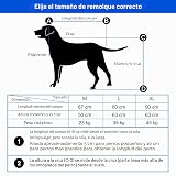 Ver la foto 6