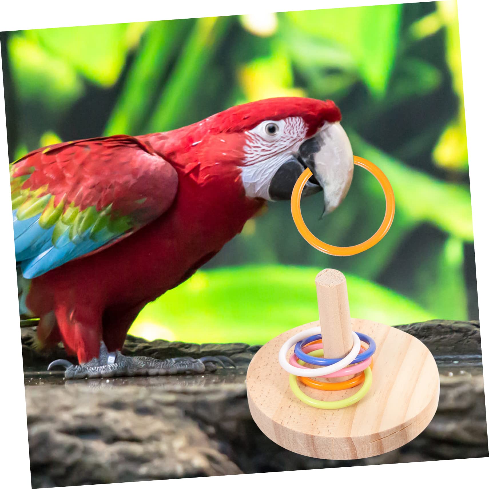 Happyyami 8sätze Parrot Training Toy Teiliges Intelligenzspielzeug Für Vögel Bestehend Aus Holzringen Für Papageien Und Wellensittiche Fördert Spiel Und Gesundheit