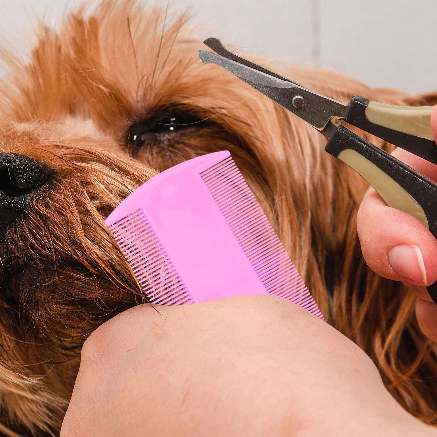 2 peines para perros y gatos, de dientes finos, para eliminar la caspa, las manchas de pelo, para mascotas pequeñas, medianas y grandes, para eliminar la corteza y la mucosidad