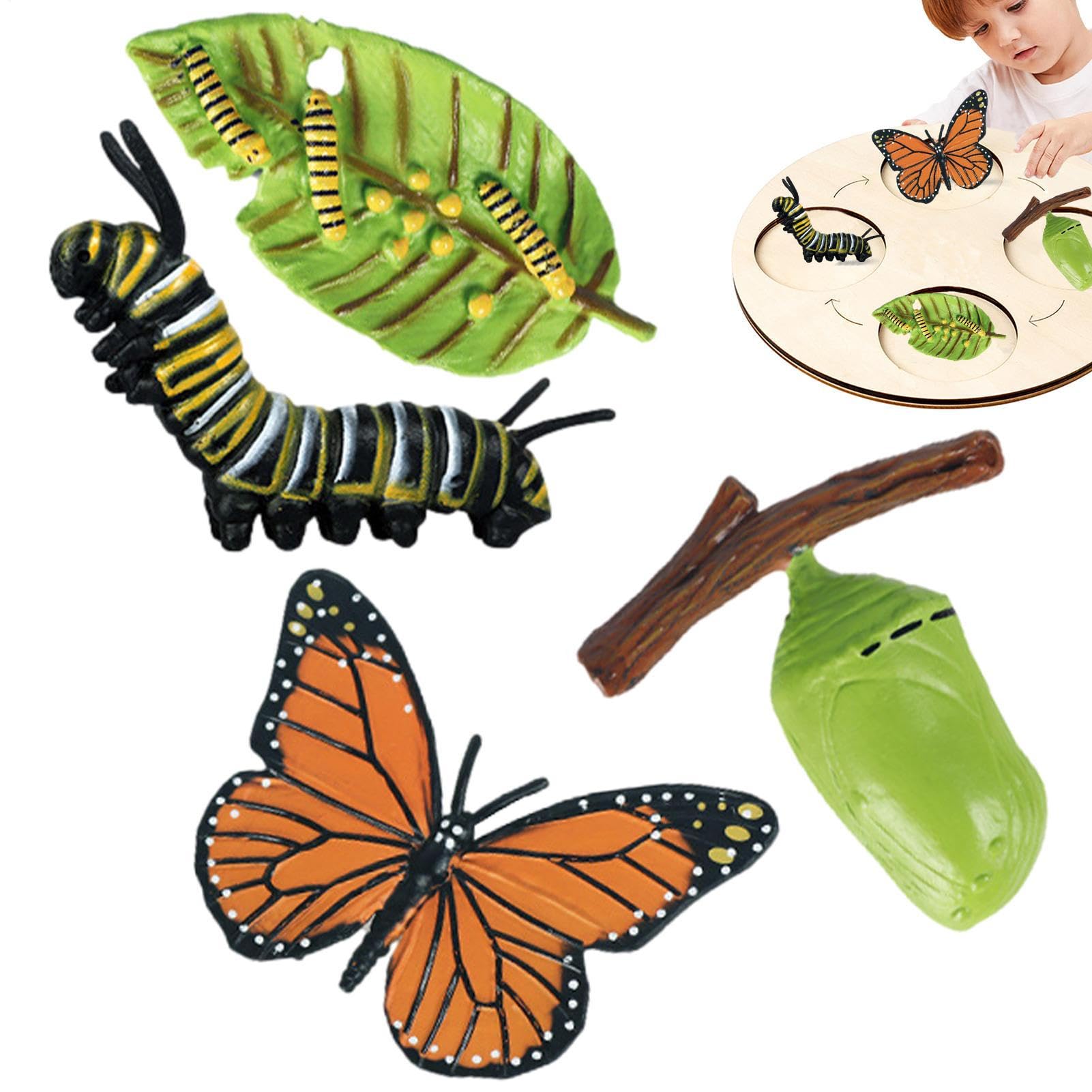 Insectss Life Cycle Figurines - Educational Biological Growth Stages, Realistic Hand-Painted Learning Models, Durable Odourlesss PP Plasticss Build, 4 to 5 Piece Development Sets - for Kids 3 Years — view 7