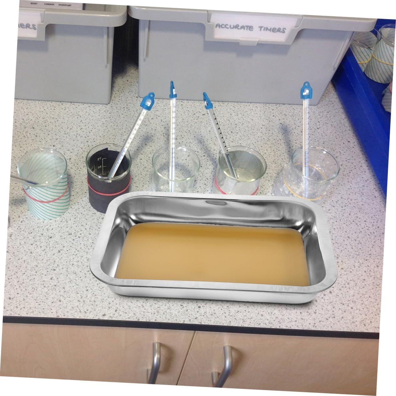 HEMOTON 2pcs Stainless Steel Dissection Tray with Wax Coating Easy to Clean Laboratory Equipment for Biology Classrooms and School Experiments Stable Base for Safe Specimen Handling