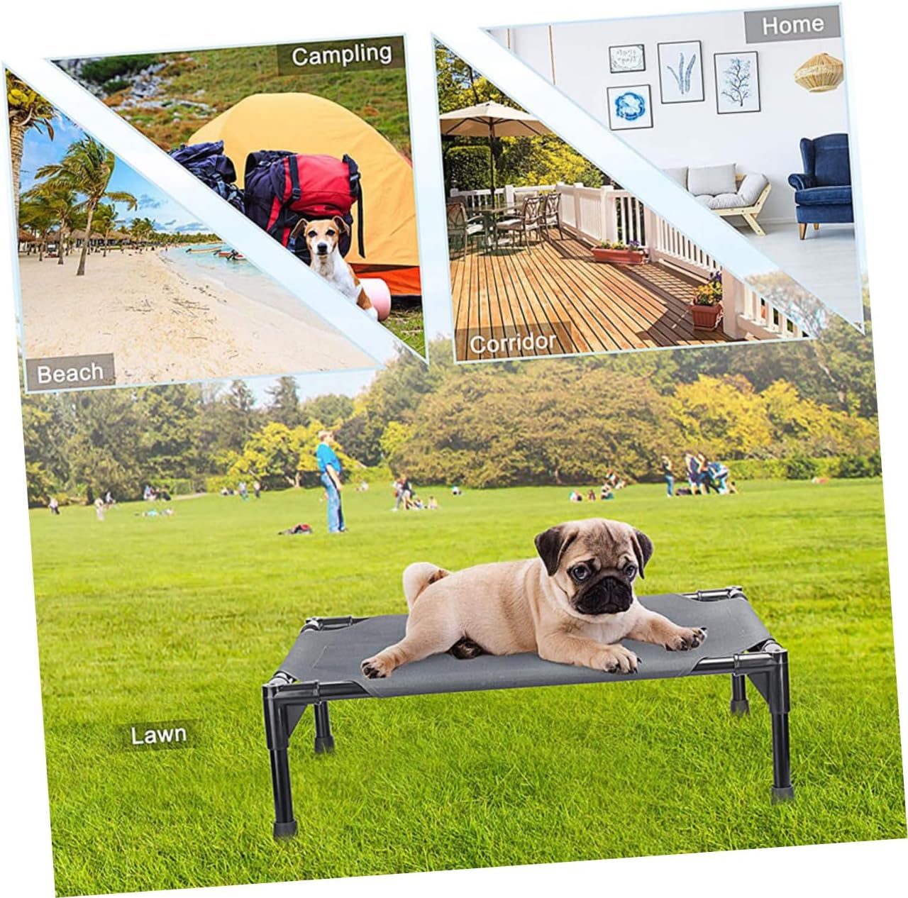 BESPORTBLE Detachable Cover Elevated Dog Bed Washable Dog Bed Raised Platform Pet Supplies