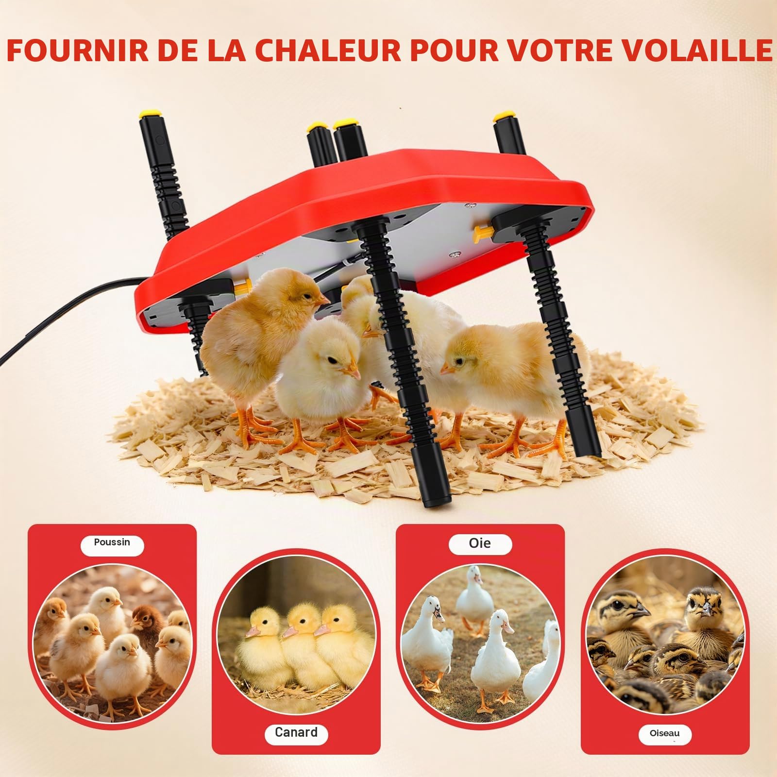 Chauffage réglable pour poussins, canards, oies, thermostat 10-70 °C et hauteur de 3,6 à 18,3 cm, 30 W économe en énergie pour poussins, canards, oies, protection contre la surchauffe, kit de maintien