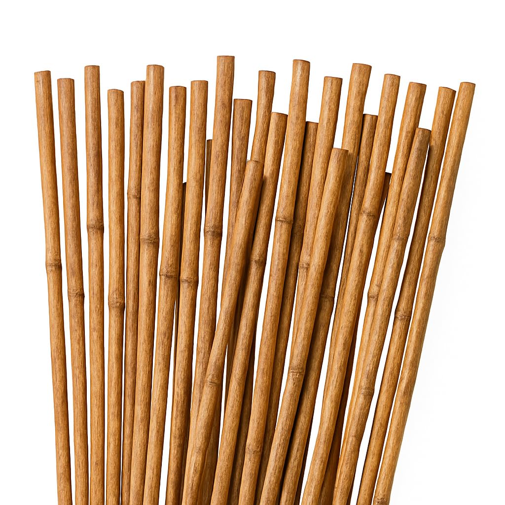 50 Tutores de Bambú 120 cm Ø 10/12 mm | Estacas de Jardín y Cañas para Huerto | Soportes Resistentes para Macetas, Flores y Cultivos | Color Natural | Eco-Friendly