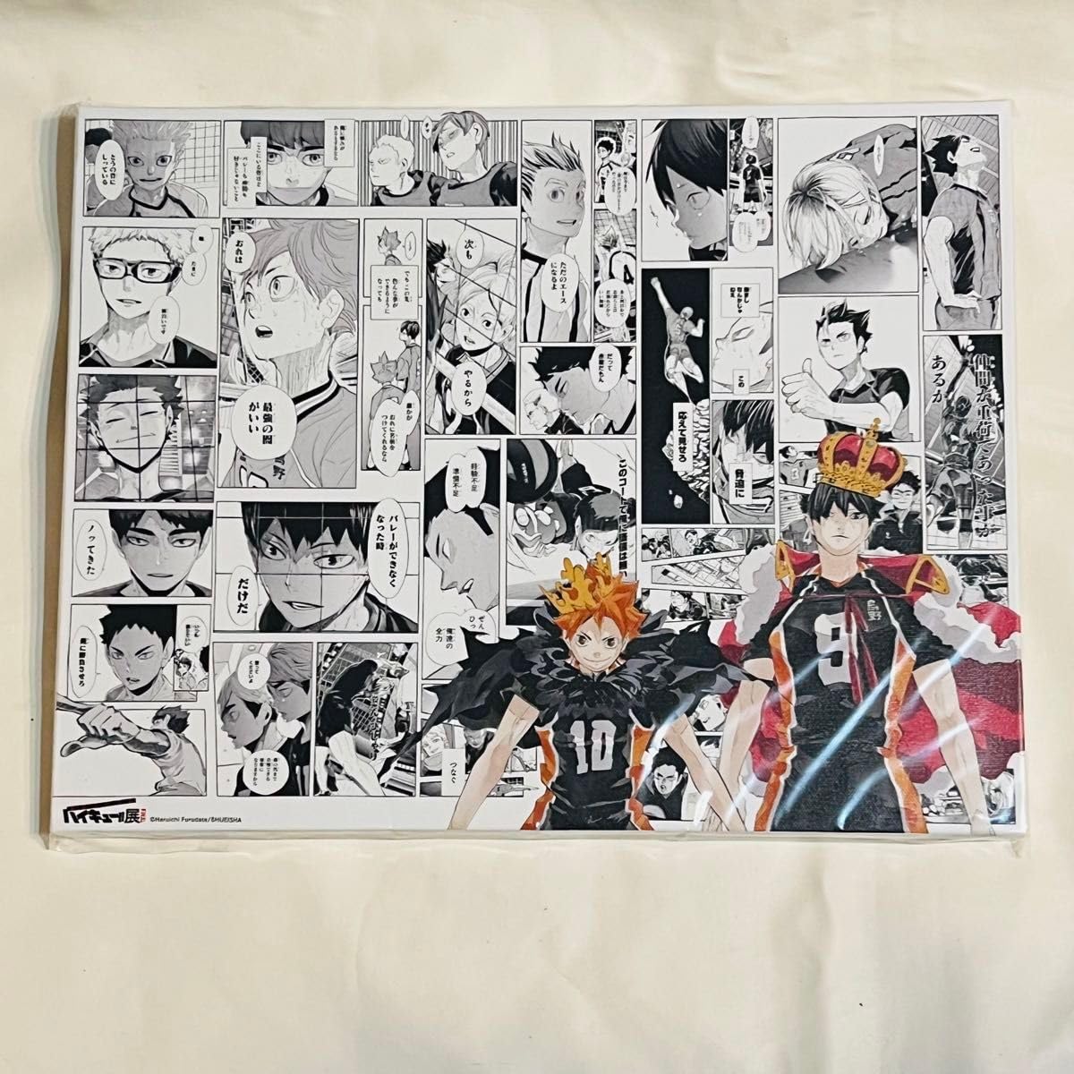 ハイキュー フルカラーBIGアートボード 挑戦者たち 影山飛雄 日向翔陽 木兎