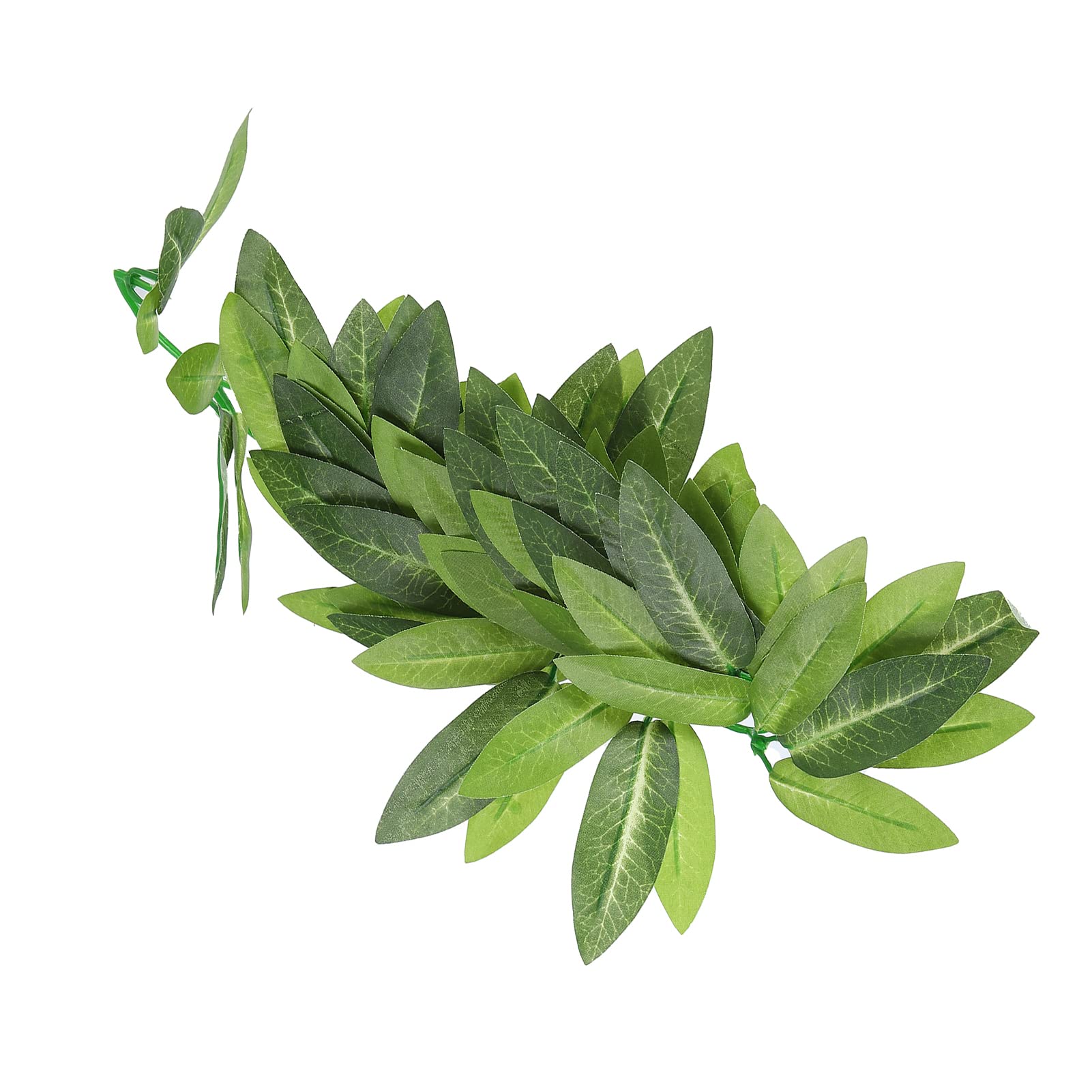 De lijst met eetbare planten voor het bioactieve terrarium - Reptiles Twente Webshop