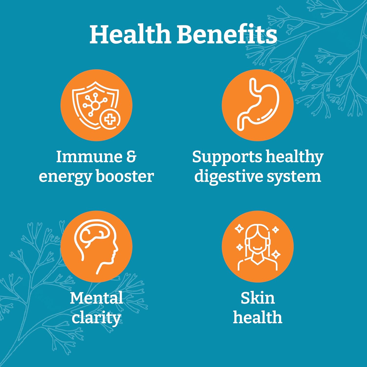 Yemayá The Natural Way All-in-1 Multi Mineral Sea Moss Raw Organic Supplement, with Organic Seamoss Black Seed Oil Ashwagandha Burdock Root, Turmeric, Vitamin C, & More, 60 Vegan Capsules