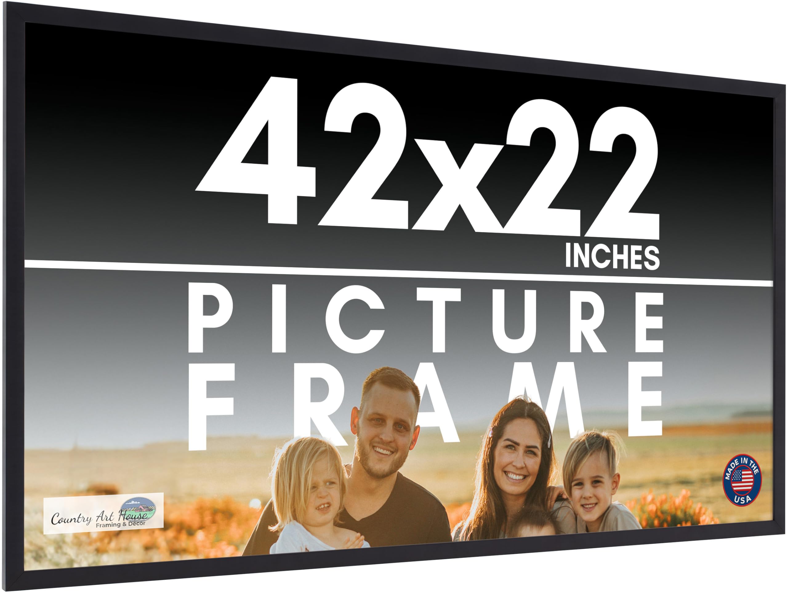 Amazon.com - 42x22 Frame Black Picture Frame - Complete Modern