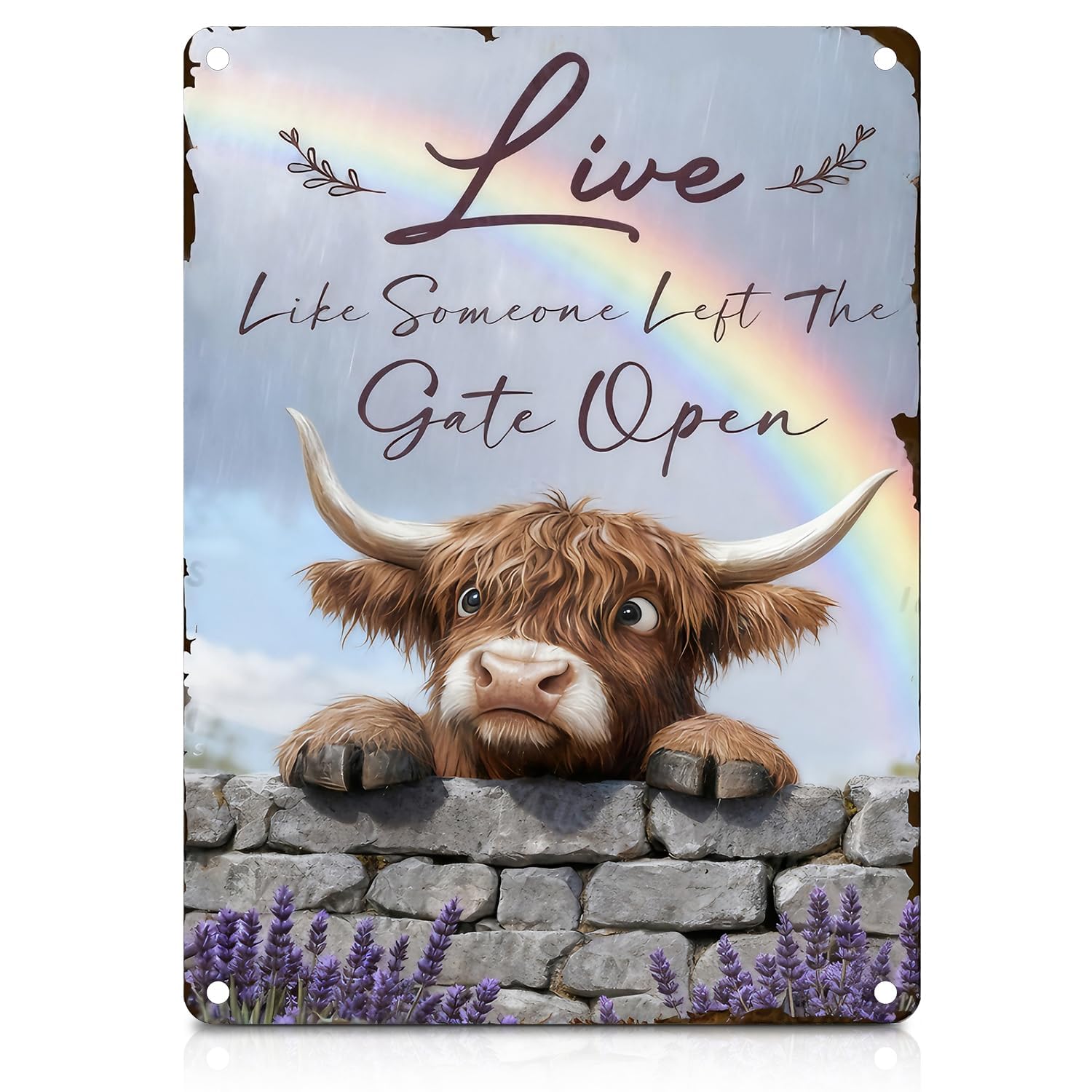 Highland Cow Wall Decor, Retro Plaques for Highland Cows, Aesthetic Cow Pictures for Walls, Waterproof Bathroom Pictures and Kitchen Ornaments for Any Space, Unique Highland Cows Gifts for Women Men