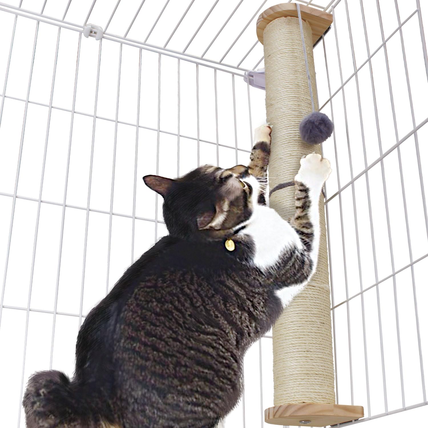 Amazon | POOKIE 爪研ぎ 猫 ケージ用 ロング おもちゃ 付き ポール 爪