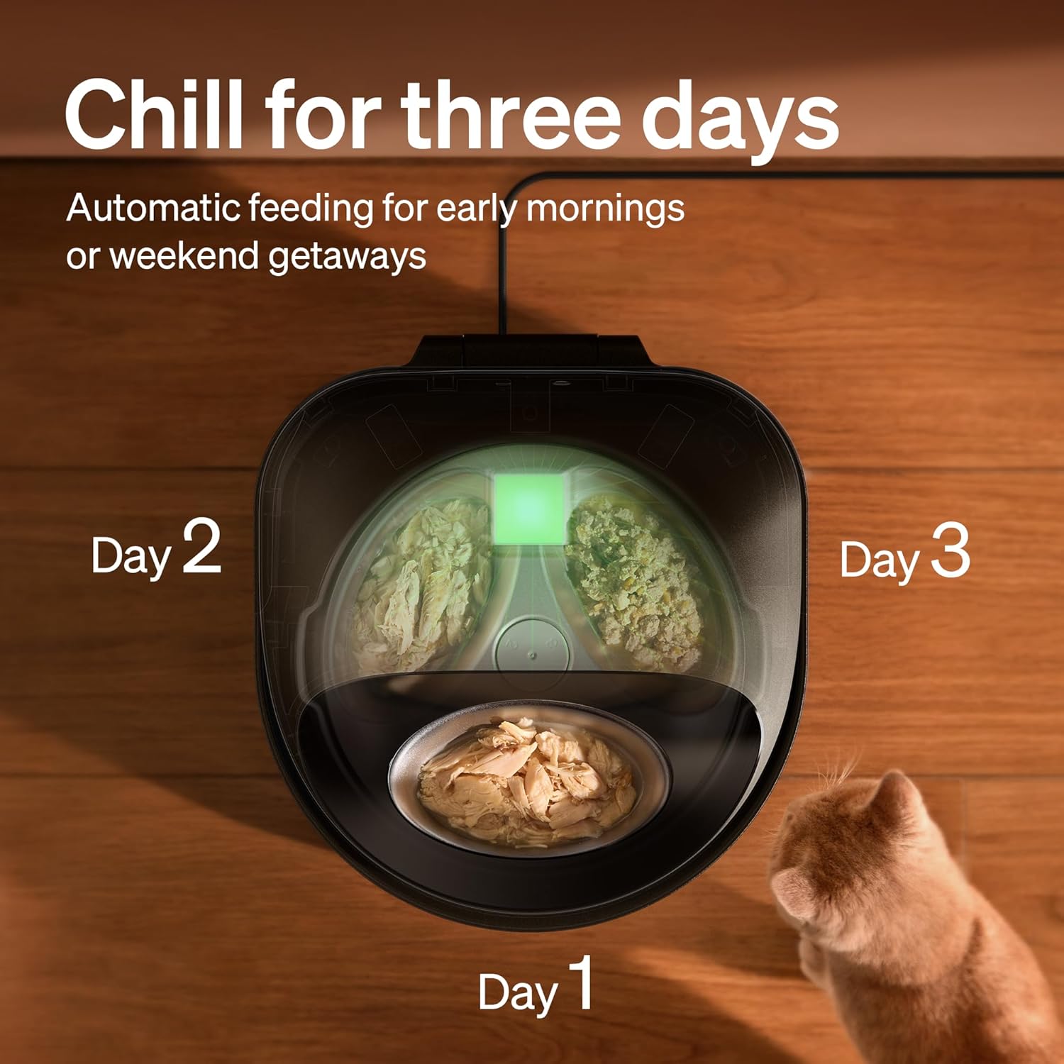 PETLIBRO Automatic Cat Feeder for Wet Food, Refrigerated Cat Feeder with Stainless Steel Bowl and Semiconductor Cooling, App Controlled Pet Food Dispenser Holds 3 Fresh Meals, Easy to Clean