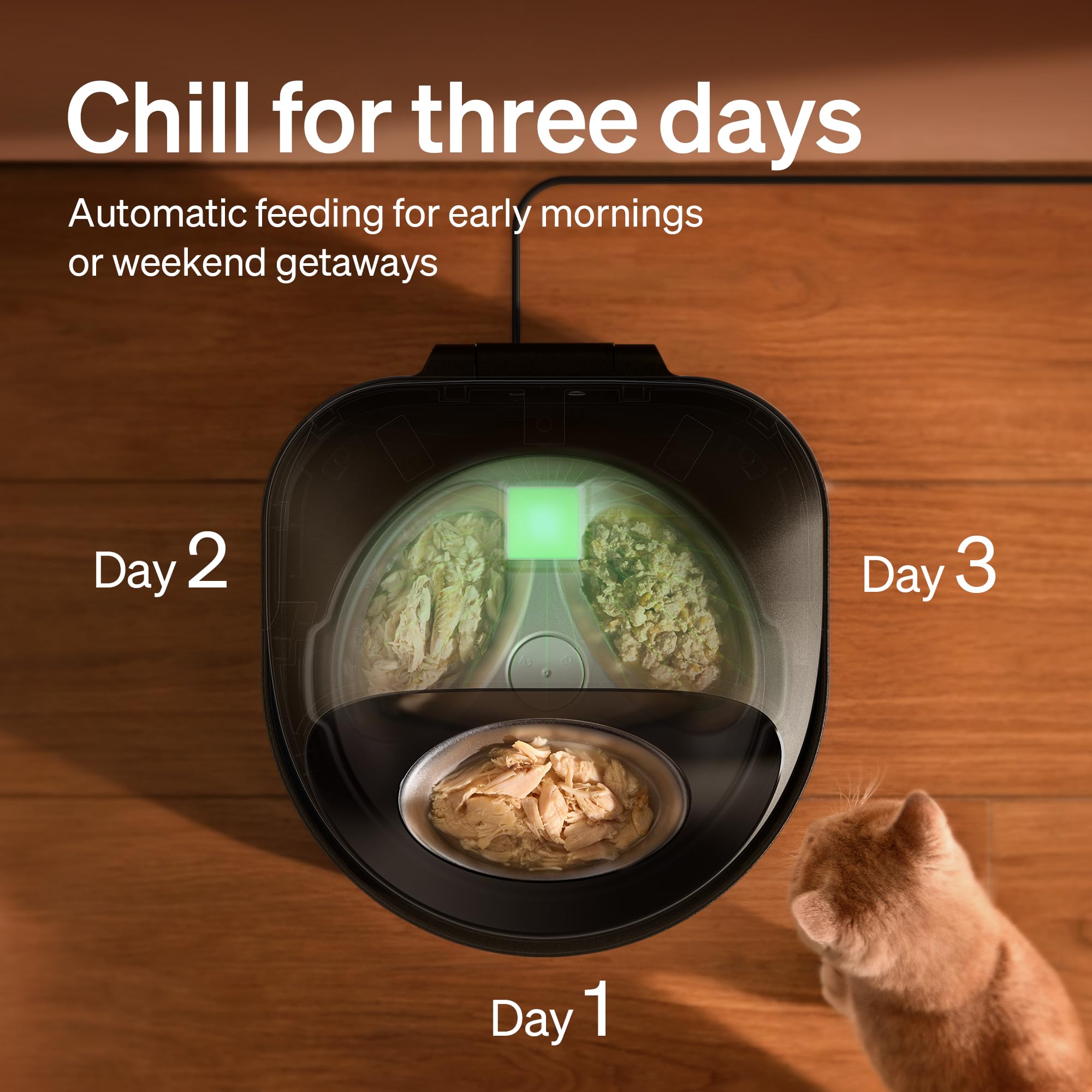 PETLIBRO Alimentatore automatico per gatti