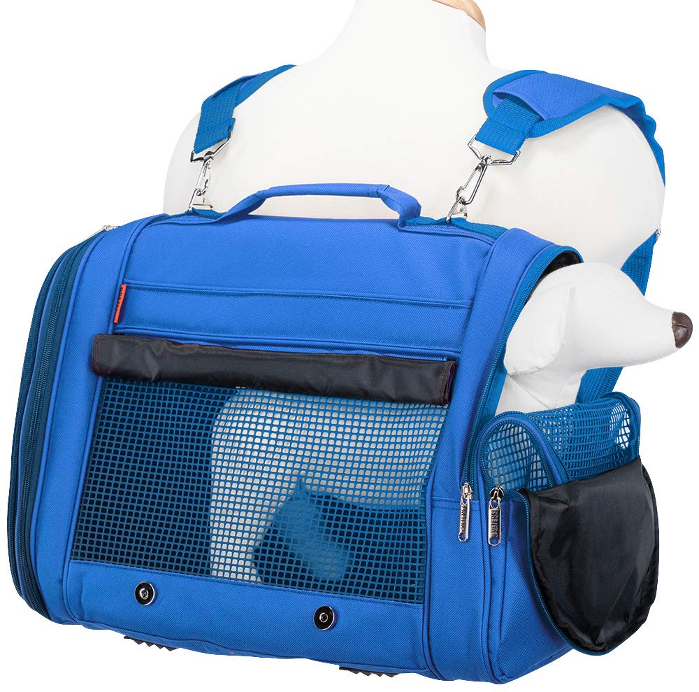 the difference between a hamster and a guinea pig