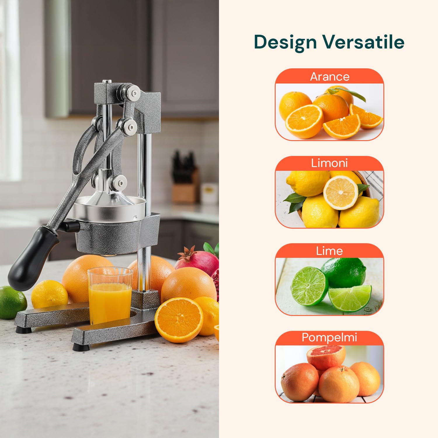 Avilia - Spremiagrumi Professionale a Leva in Ghisa con Filtro Inox 304 Spremiagrumi Manuale per Arance e Limoni con Pressione Potente Uso Domestico e Bar Struttura Ultra Resistente