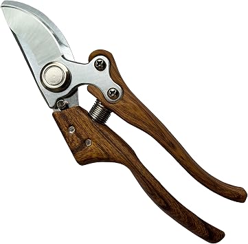 Pruning shears for gardening, Floral cutter, German Stainless Steel Blades, 1 inch Cut Capacity, Garden Snips for flowers with Non-Slip Handle, Lightweight & Ergonomic Professional