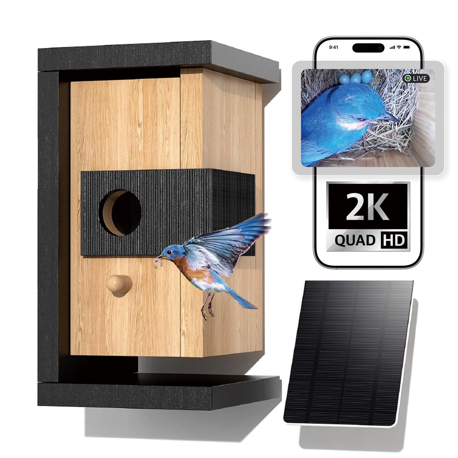 Smart Bird House with Camera Solar Powered, 2K Live Video & Night Vision for 24/7 Nesting Recording, Auto Detect & Notify, Ideal Nature Gift for Bird Lovers, AI Identify Lifetime Free - 1