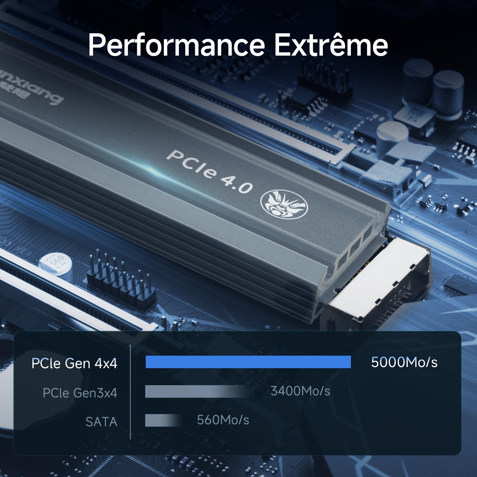 fanxiang S660 SSD 4To PCIe 4.0 NVMe SSD M.2 2280 Disque SSD Interne avec Dissipateur Thermique, Jusqu'à 5000 Mo/s, Cache SLC Dynamique, Parfaitement Compatible avec PS5
