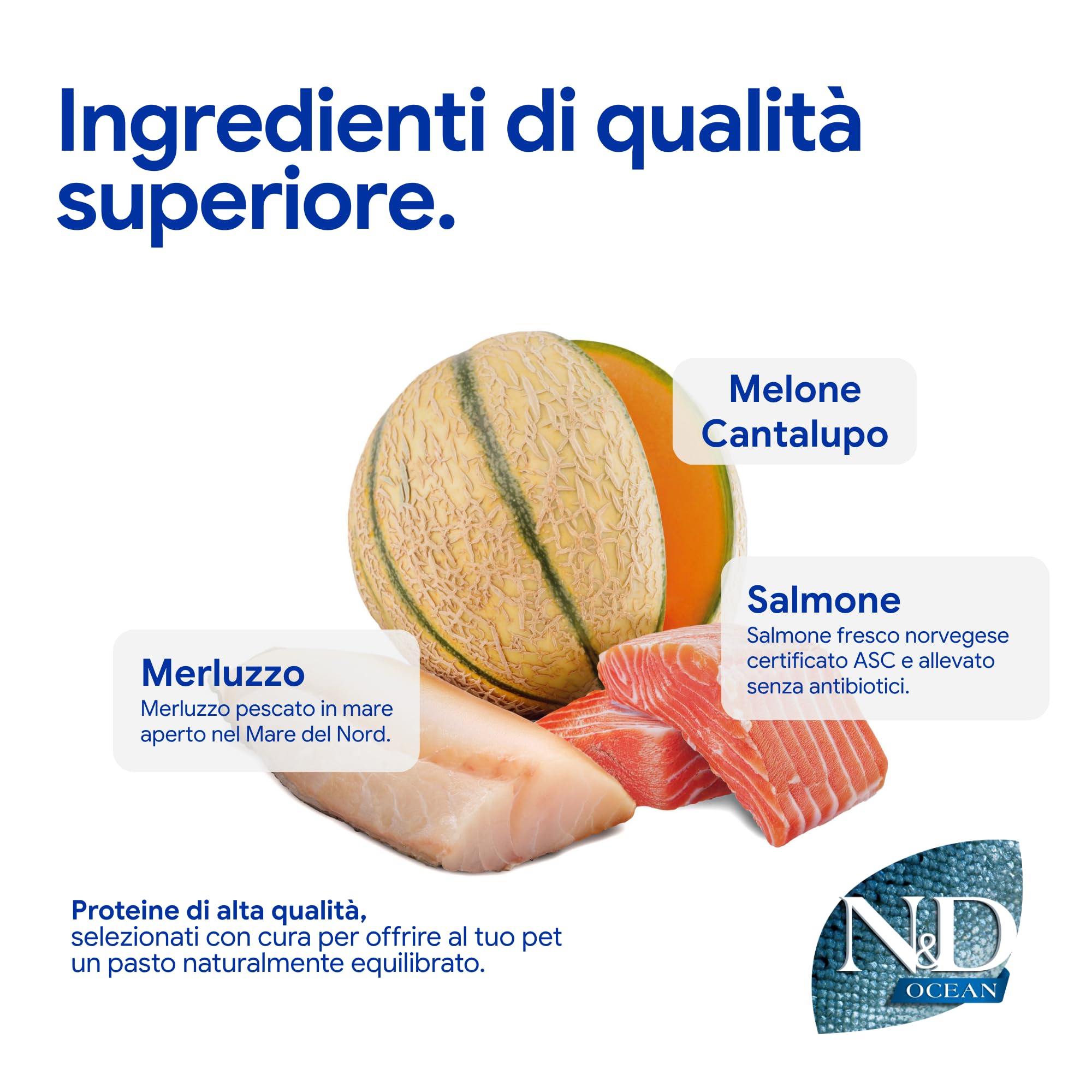 N&D Ocean Salmon, Cod & Cantalupe Melon Adult Medium & Maxi 12.00 kg