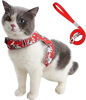 Amazon Co Jp 人気の首輪 猫ランキング Amazon Co Jp 人気の首輪 猫ランキング