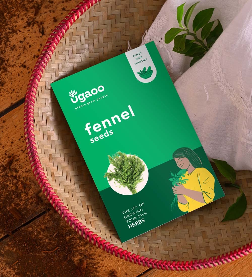 UGAOO Fennel Herb Seeds (Green, Pack of 400)