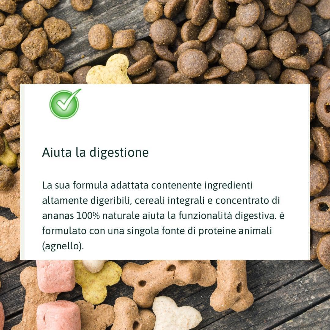 Natural Trainer Umido Cane Adult Sensitive Agnello, alimento completo per cani adulti di tutte le taglie e razze, gusto AGNELLO, monoproteico | 6 scatolette da 400 grammi l’una.