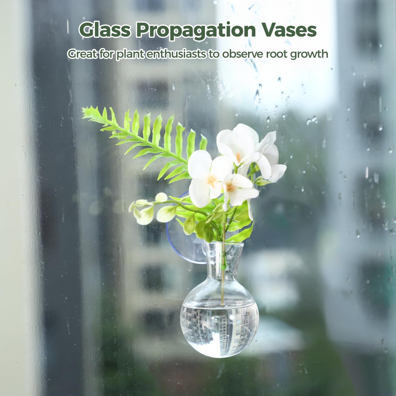Lot de 4 vases de propagation en verre pour la maison, fenêtre avec 4 ventouses, 2 brosses, vase terrarium pour culture d'eau, cadeau unique pour pendaison de crémaillère