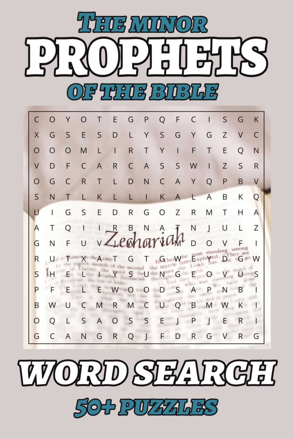 The Minor Prophets of the Bible Word Search Puzzle Book: Word Searches for Easy-to-Read Print about Minor Prophets, Old Testament, Prophecy, and Faith ... Gift for Vacations, Holidays, and Free Time