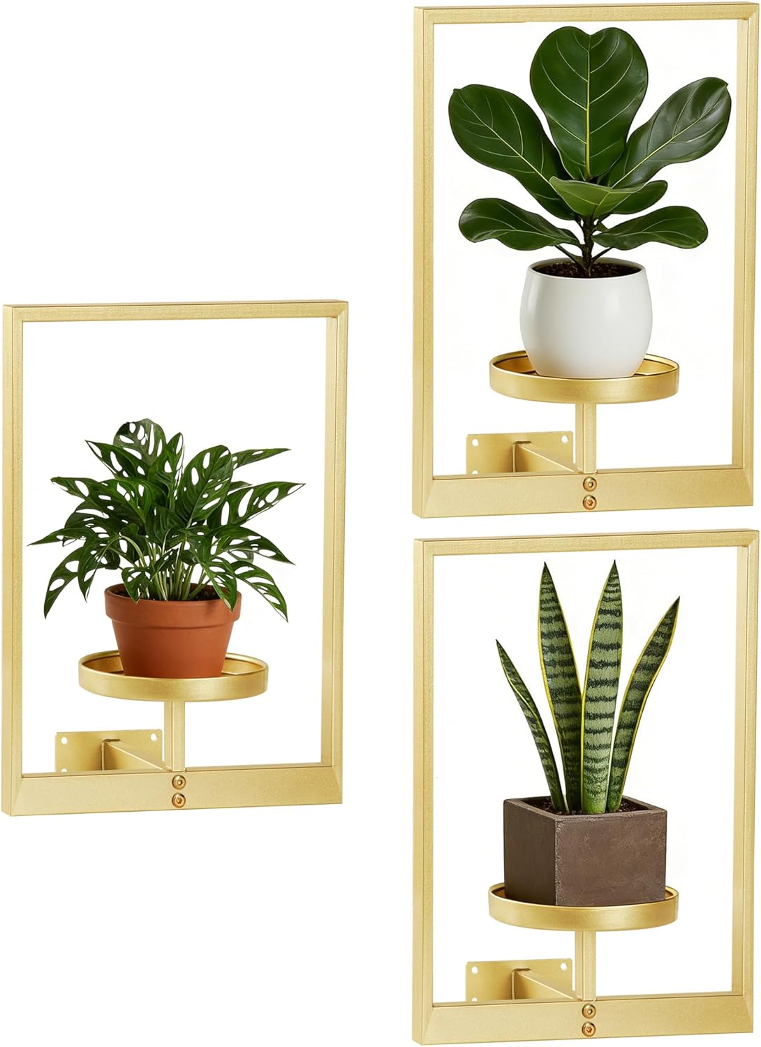 3-piece set of metal plant potted flower racks, heavy-duty flower pot plant racks of different sizes, iron flower racks, suitable for indoor and outdoor home decoration (Wall Planters - Black - 3pcs) (3, Gold)