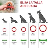 Ver la foto 4