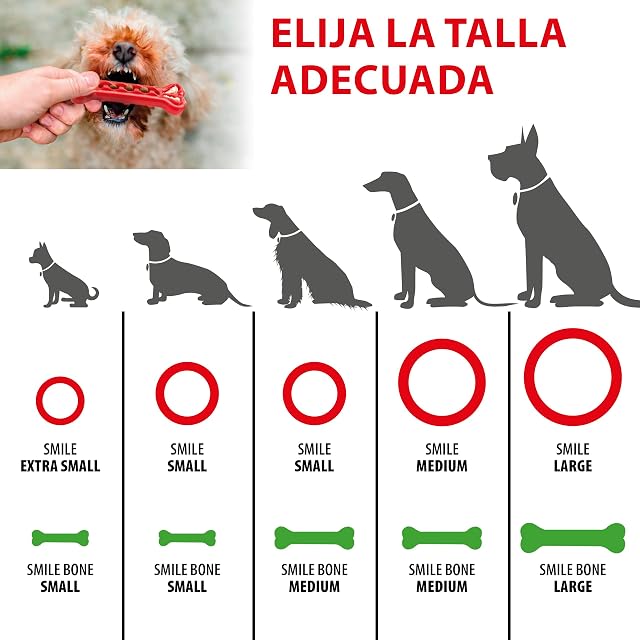 Foto 4 de 5 de Ferplast Juguete Perro, Anillo Dispensador Comida Perros, Croquetas, en Material Duradero para Masticar