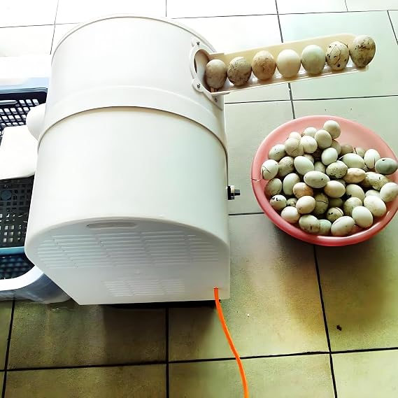 Electric Egg Washing Machine, Egg Washer Machine, Automatic Egg Washer Machine, 2300 Pcs/H Chicken Duck Goose Egg Egg Cleaner Wash Machine