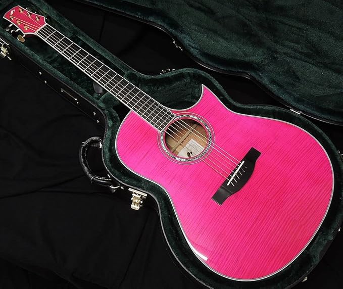 値下げしました！】【美品】Morris TC-1J エレアコ