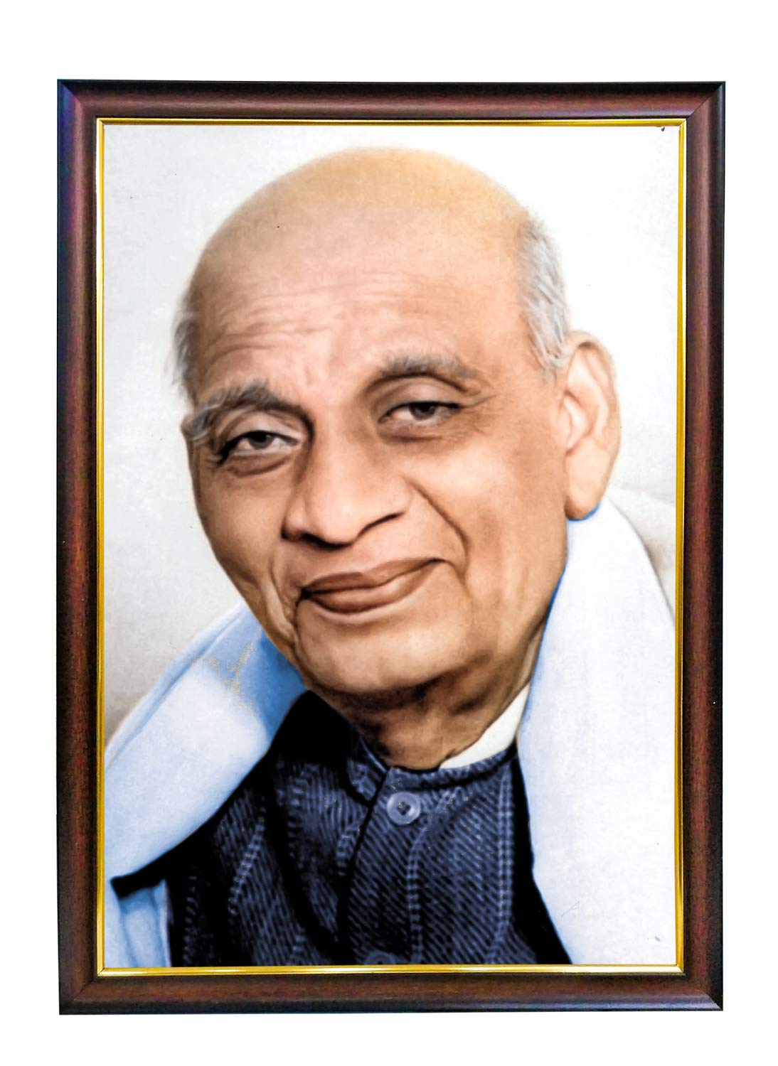 SRK GROUP OF DIGITAL LAB Sardar Patel (Multicolour, 12x12)-image-5