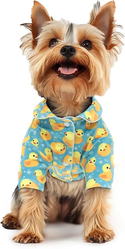 Pijama para Cachorros e Gatos CuteBone de Veludo com Duas Pernas LTP10XL
