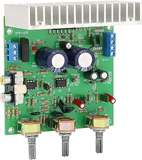 Stereo Amplifier Board 40W+40W Amplifier Board AMP Module Power Amplifier Board TDA7265 Dual 12V-15V HiFi Audio AMP Module